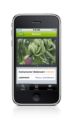 Food Guide - Eintrag "Banane"